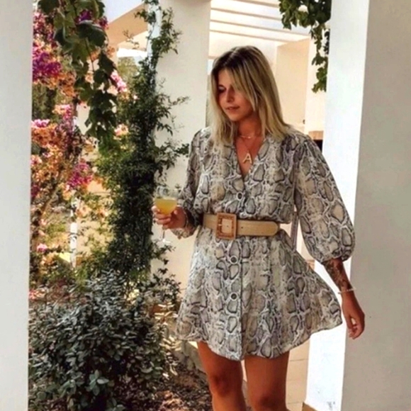 Zara Snake Print Flowy Sleeve Dress - Picture 1 of 10
